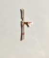 FL397t.jpg.jpg